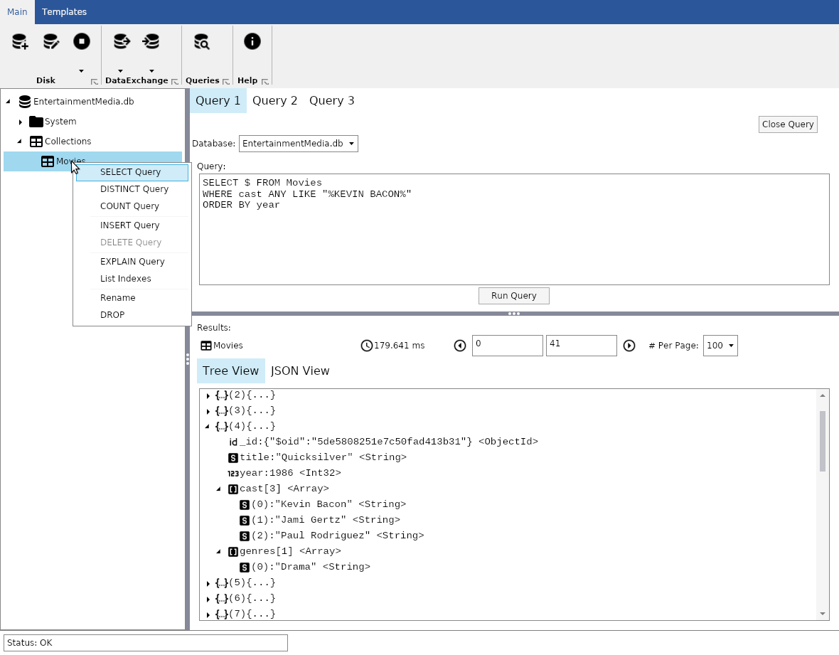 LiteDB Portal Release 1 Screenshot